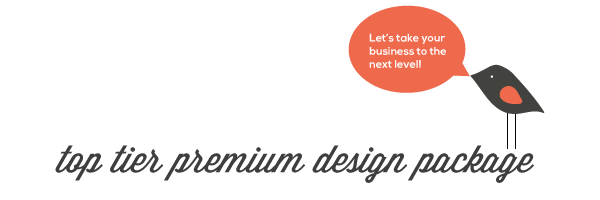 premium-logo-package-image