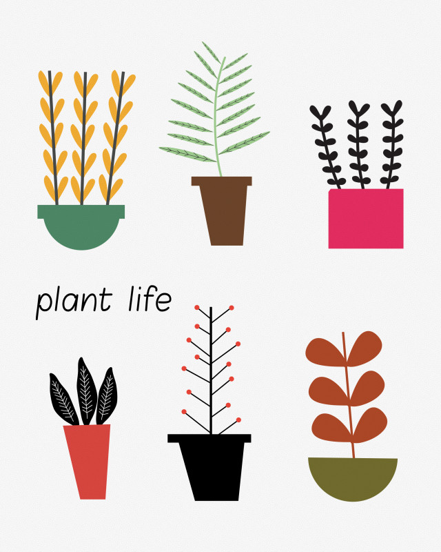 plant-life-art-print