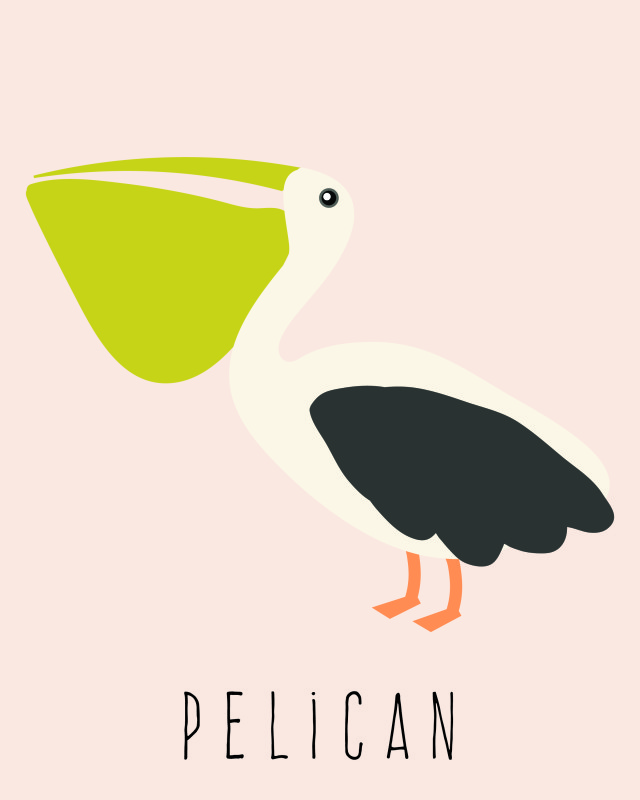 PELICAN