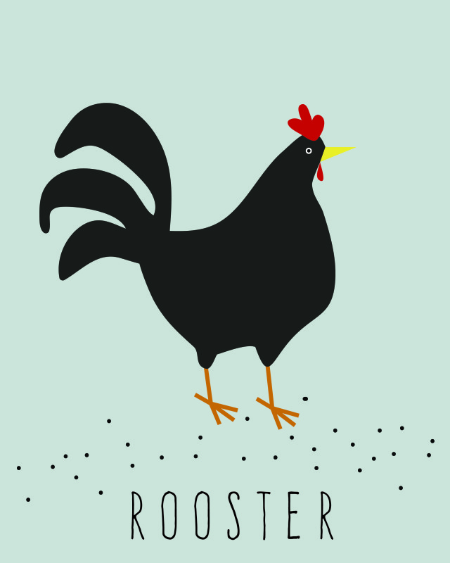 ROOSTER