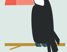 Digital Illustration-Odd Birds Collection