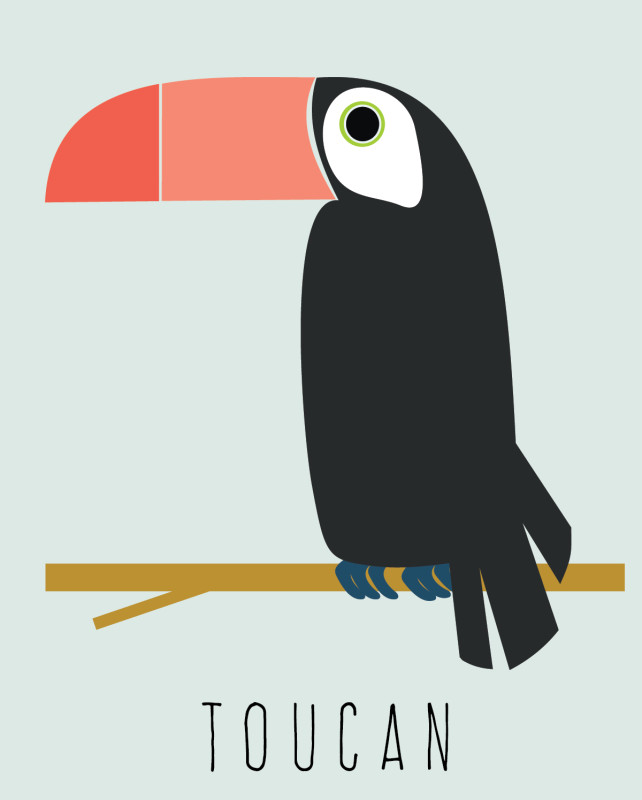 toucan 8x10